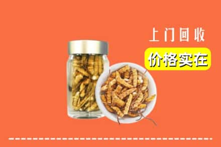 宜宾珙县回收散虫草