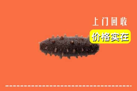 宜宾珙县回收海参