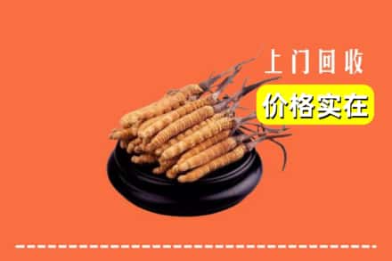 宜宾珙县回收冬虫夏草